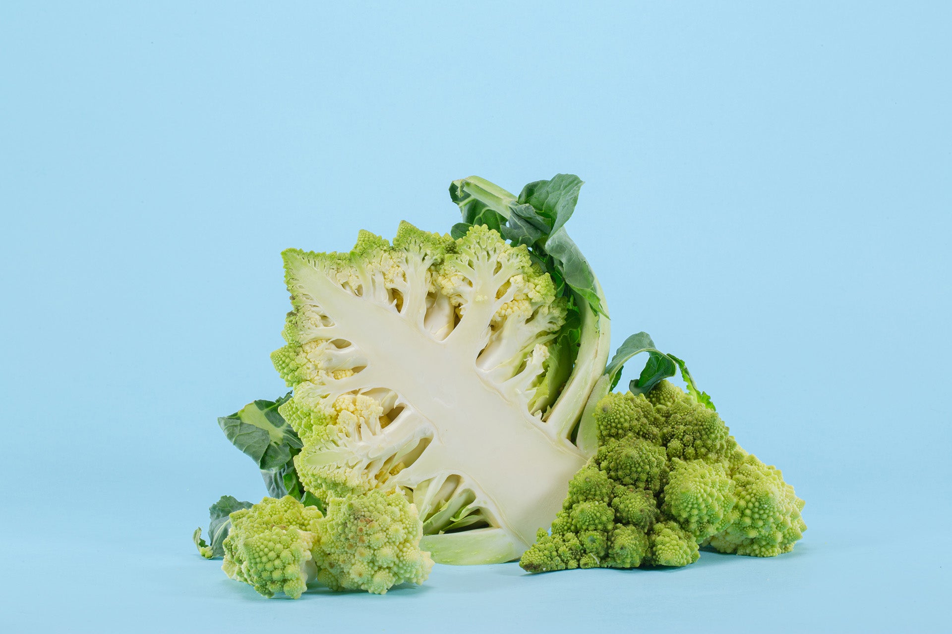 Le differenze tra ortaggi verdure vegetali e frutta, image size:1920x1280